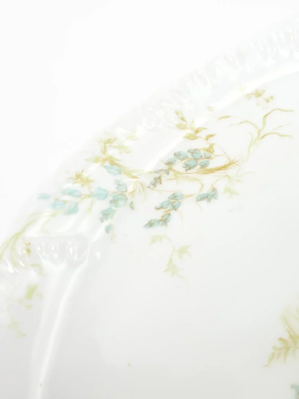 c. 1880 Haviland x Wright Tyndale van Roden Schleiger 245 Serving Platter
